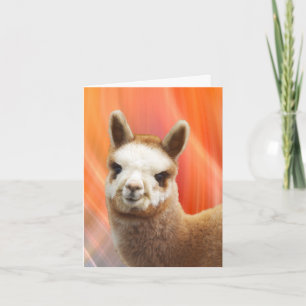Cartões de aniversário de sorriso da alpaca