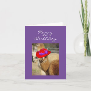 Cartões de aniversário do Alpaca