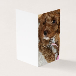 Cartões de aniversário do filhote de cachorro de