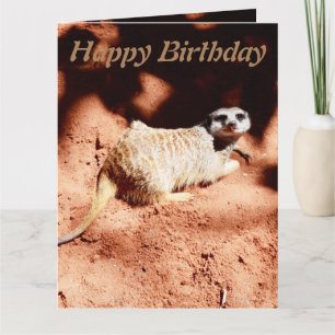 Cartões De Aniversário Do Meerkat Jumbo, Engraç