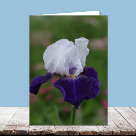 Cartões de Aniversário Religiosos - Íris Roxo