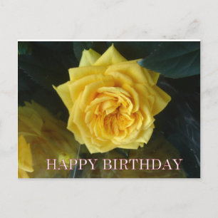 Cartões de aniversários de rosa amarela