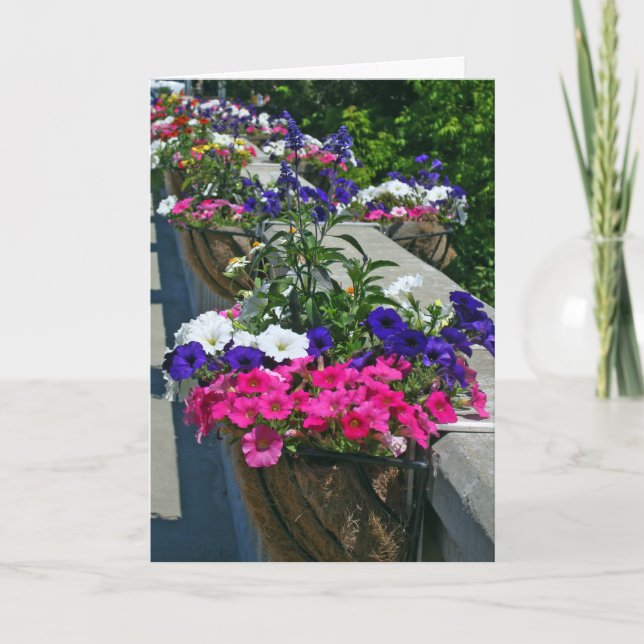 Cartões de aniversários, flores em Leland Michigan (Frente)