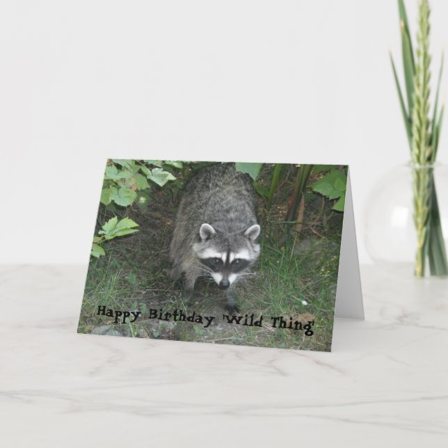 Cartões de aniversários - Raccoon (Frente)
