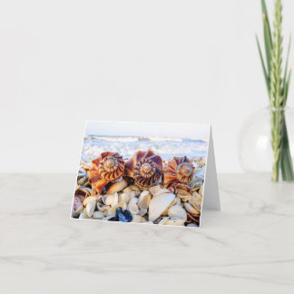 Cartões de anotações relâmpagos