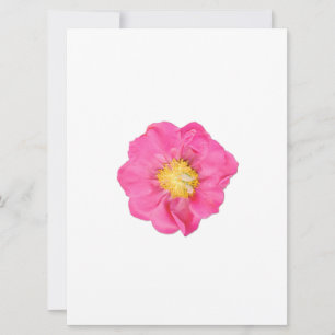 Cartões de Arte Botânica de Flor de Peônia Rosa Su