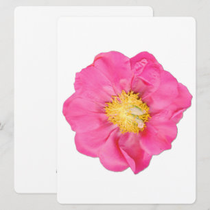 Cartões de Arte Botânica de Flor de Peônia Rosa Su