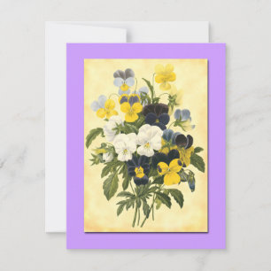 Cartões de Arte Botânica Vazio Pansy Violets