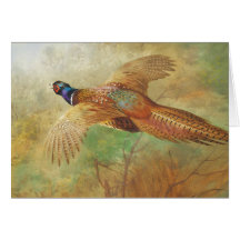 Cartões de arte de aves Archibald Thorburn Flying