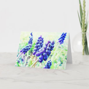Cartões de Arte Flor de Hyacinia com Estilo Impre