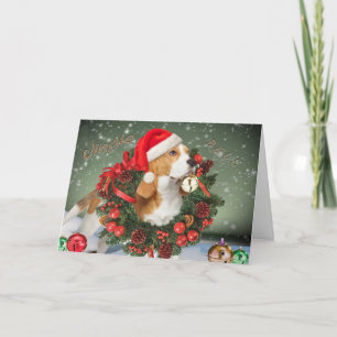 Cartões de bélula de geleia