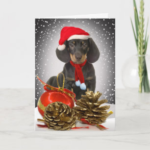 Cartões de Caça de Natal Dachshund