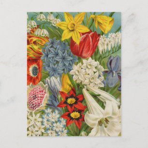 Cartões de Catálogo de Pacotes de Semente Vintage,