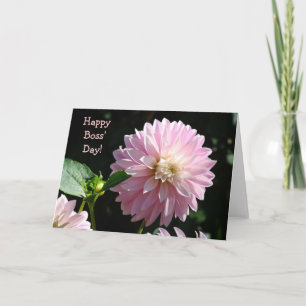 Cartões de Chefes Flores de Dahlia Rosa Feliz Dia