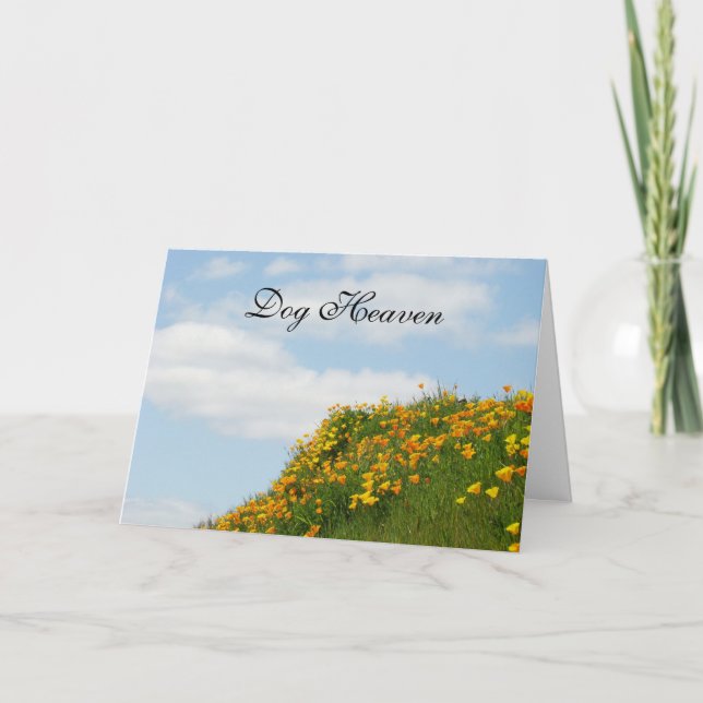 Cartões de condolências do Cachorro Desculpem por  (Frente)