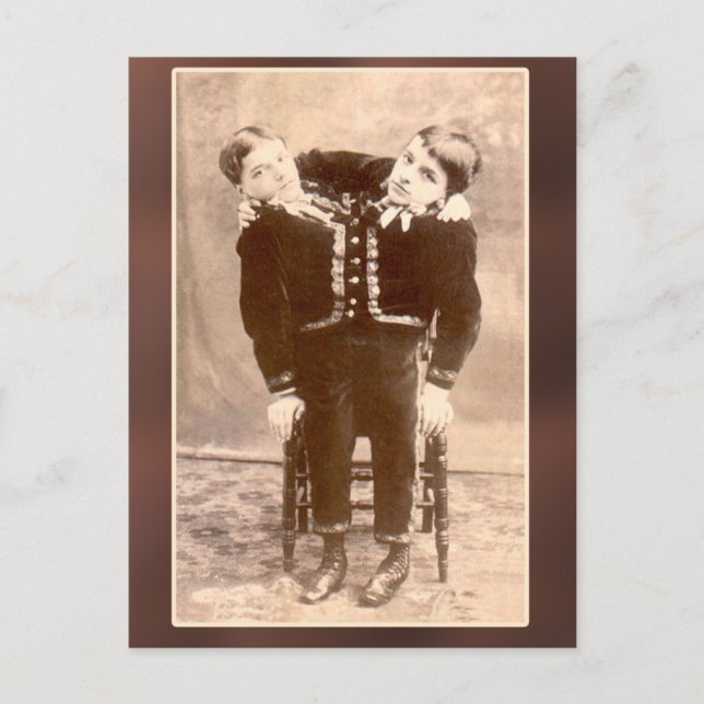 Cartões de cópia e cartões postais para gêmeos ass (Frente)