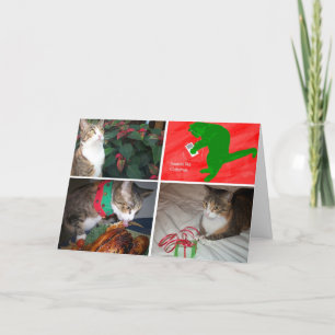 Cartões de EMMA MBX5