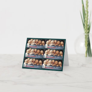 Cartões de favoritos