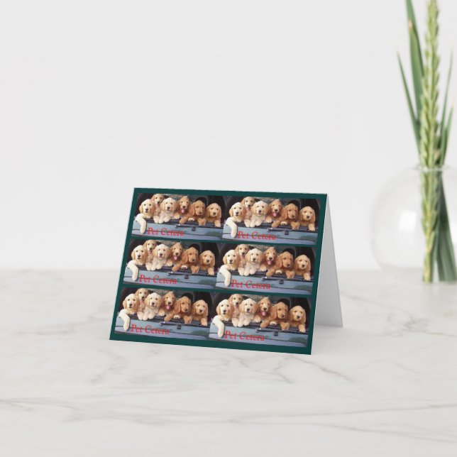 Cartões de favoritos (Frente)