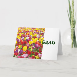 Cartões de felicitações GRAD Parabéns Tulipa Flore