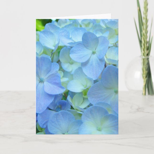 Cartões de Férias de Flores de Hortênsia Azul Lind (Frente)