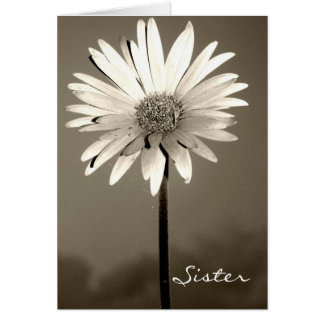Cartões de Flor Sistemáticos