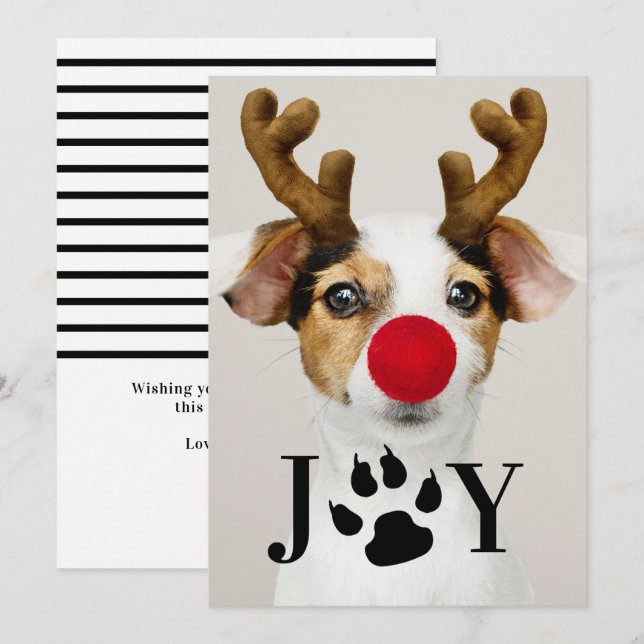 Cartões de foto de Natal de Impressão de Joy Dog P (Frente/Verso)