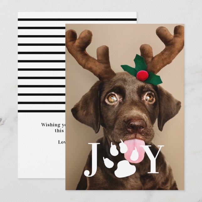 Cartões de foto de Natal de Impressão de Joy Dog P (Frente/Verso)