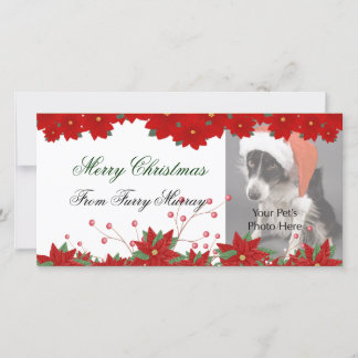 Cartões de foto de Natal de seus animais de estima