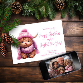 Cartões de foto de Natal de Vaca do Planalto Rosa