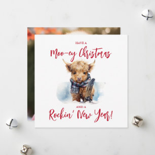 Cartões de foto de Natal de Vaca Highland ao quadr