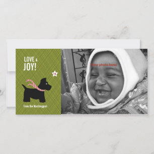 Cartões de foto de Natal do Scottie