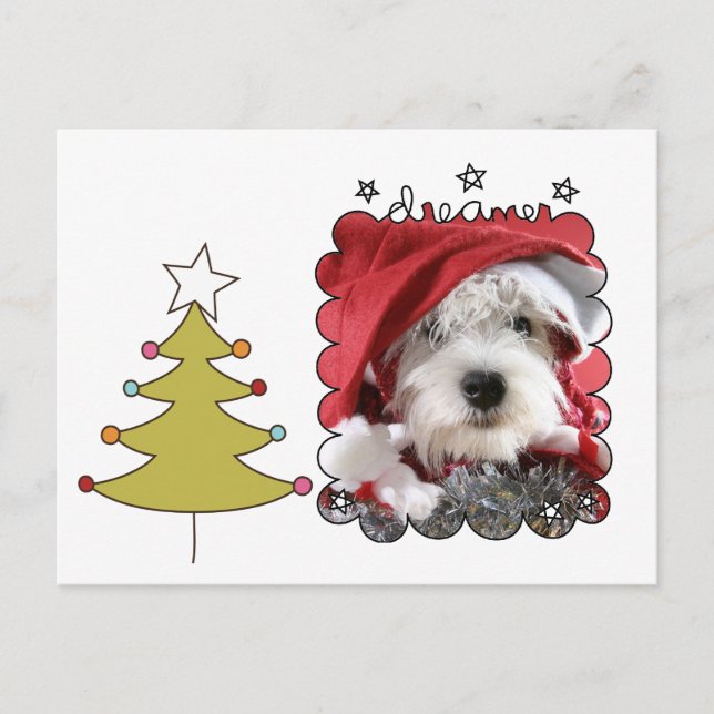 Cartões de foto de Natal Pet (Frente)