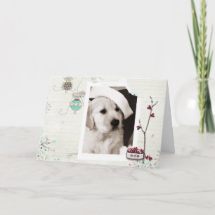 Cartões de foto de Natal Pet