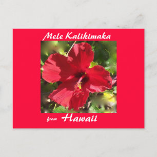 Cartões de foto de Natal tropicais da flor