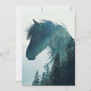 Cartões de fotografia de cavalos e paisagens