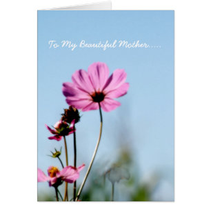 Cartões De Fotografia Flores Para Mãe
