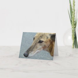 Cartões de fotos de galgos (p291)