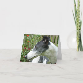 Cartões de fotos de galgos (p5)