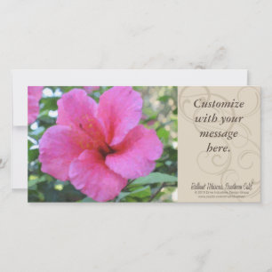 Cartões de fotos de Magenta Hibiscus