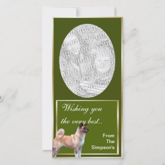 Cartões de fotos de Natal Akita