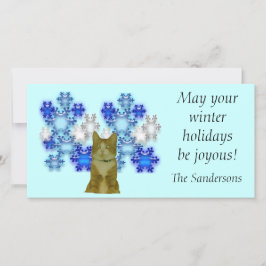 Cartões de fotos - Feriados de inverno com gato