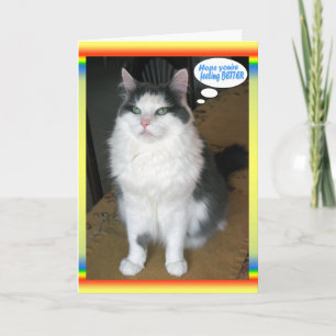 Cartões de Gato, Engraçado, fique bem