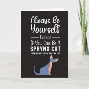 Cartões de Gato Sphynx Fofo Animais Pet Kitten Div
