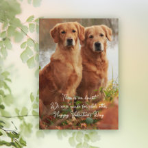 Cartões de Golden Retrievers Feitos um para o Outr
