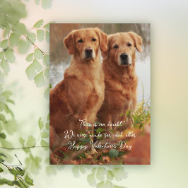 Cartões de Golden Retrievers Feitos um para o Outr