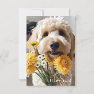 Cartões de Goldendoodle