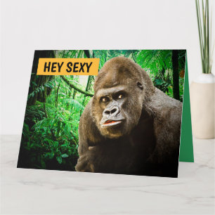 CARTÕES DE GREETING DE GORILLA GORILLA FUNNTIC