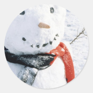 Cartões de inverno Snowman e adesivos
