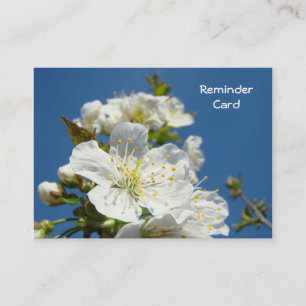 Cartões de Lembrete Compromissos Blue Sky Blossoms